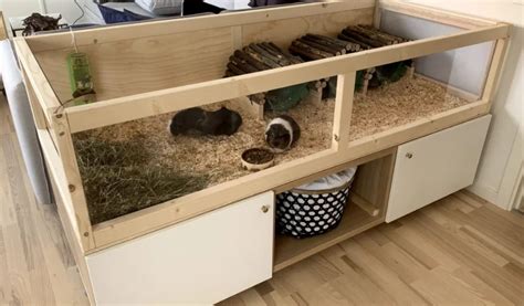 10 DIY Guinea Pig Cages: Building Ideas and Guide