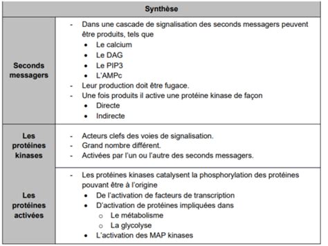 Communication Cellulaire Partie 2 Cartes Quizlet