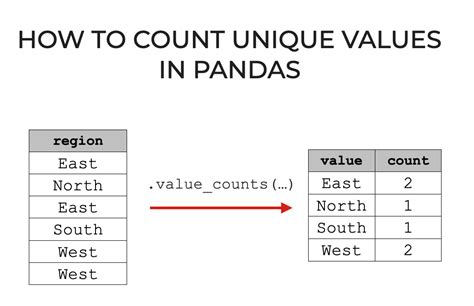 How To Use Pandas Value Counts Sharp Sight