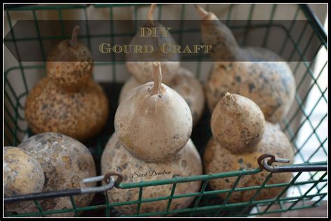 Diy Gourd Craft