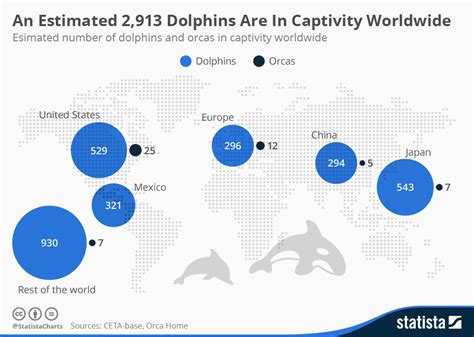 Types Of Dolphins Chart