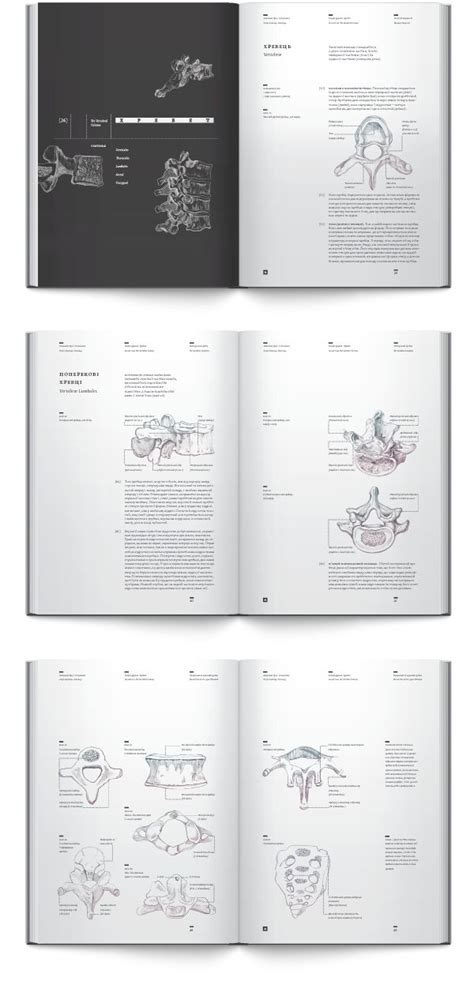 Anatomy book. Osteology by Irene Shkarovska, via Behance | Book design ...