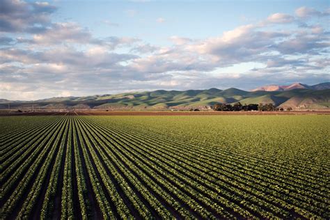 agricultural      agricultural stock