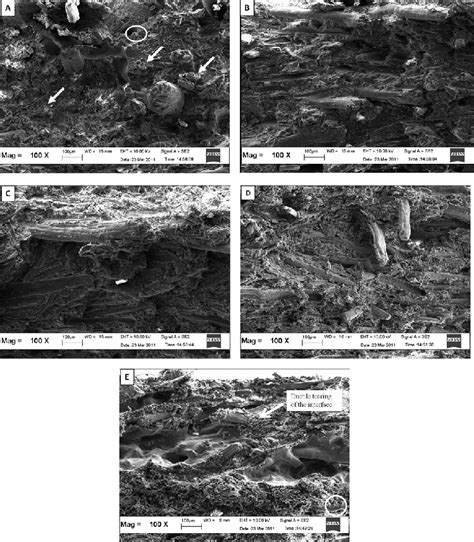 Sem Micrographs Showing Fracture Surfaces Of A Plakf B Pla10imkf