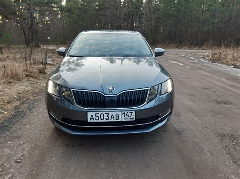 Skoda Octavia А7 - 2019 - «Отличная машина для семьи» | отзывы