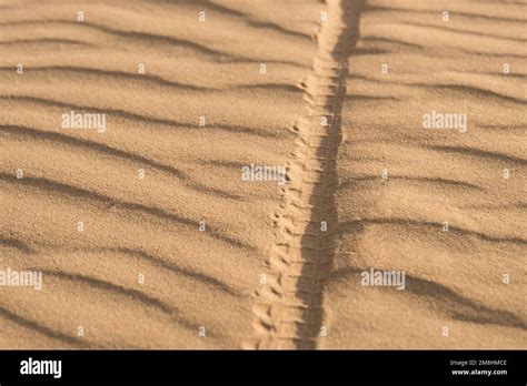Bicycle wheel track on the sand in the desert Stock Photo - Alamy