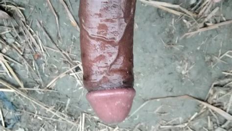 Free Gay Sex Porn Videos Xhamster