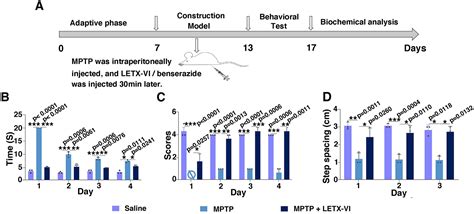 Effects Of Latroeggtoxin Vi On Dopamine And Synuclein In Pc Cells