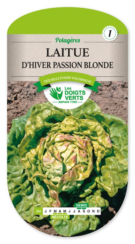 Laitue D Hiver Passion Blonde Vente En Ligne Au Meilleur Prix