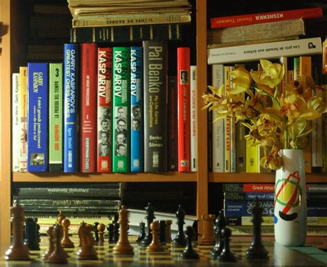 Livros De Xadrez Pdf