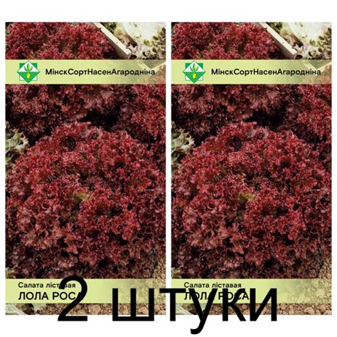 Семена. Салат Лолло Росса листовой 0.8г -2шт – купить с доставкой по ...