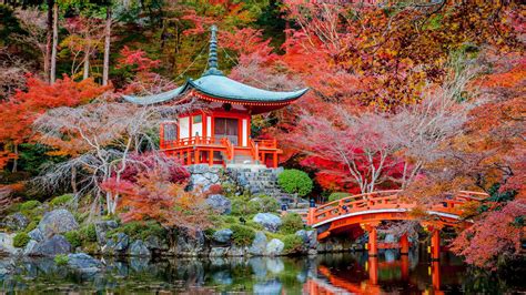 Le Jardin Daigo Ji Temple Des Fleurs à Kyoto Photos Futura