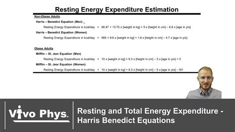 Harris Benedict Formula / Formula Harris Benedict En Excel Calcular Geb ...