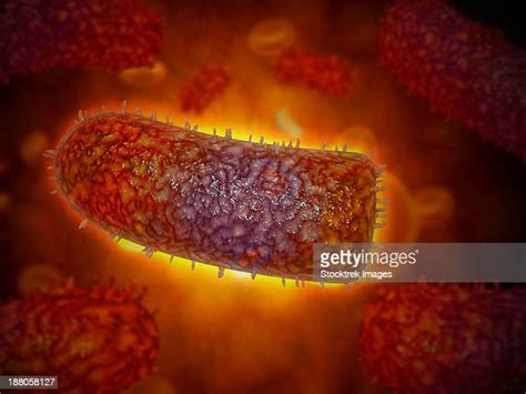 Red Neurons Foto E Immagini Stock Getty Images