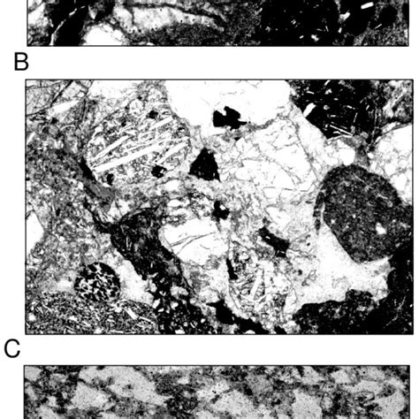 Representative Thin Section Photomicrographs Of Sediments Dredged From