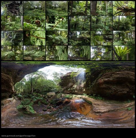 artstation australian rainforest pack resources