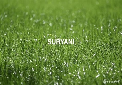 arti kata suryani kamus besar bahasa indonesia kbbi samsurijalcom