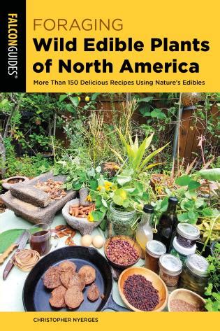 Foraging Wild Edible Plants Of North America Second Edition Ojai