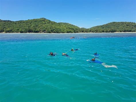 Koh Samui Avistamiento de Delfines Rosas y Excursión en Lancha Rápida