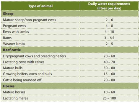 Water: The life blood of livestock farming - Chemuniqué