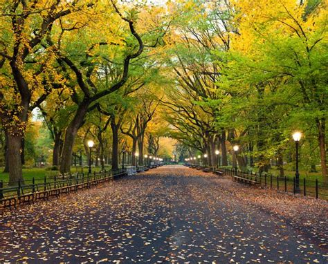 A Complete Guide on How to Enjoy Central Park in the Fall