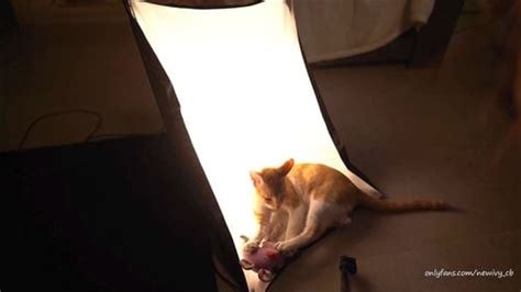 Watch Ivne Sex Butt Babe Porn SpankBang