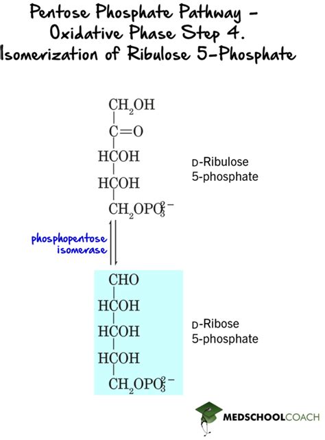 Pentose Phosphate Pathway MCAT Biochemistry MedSchoolCoach