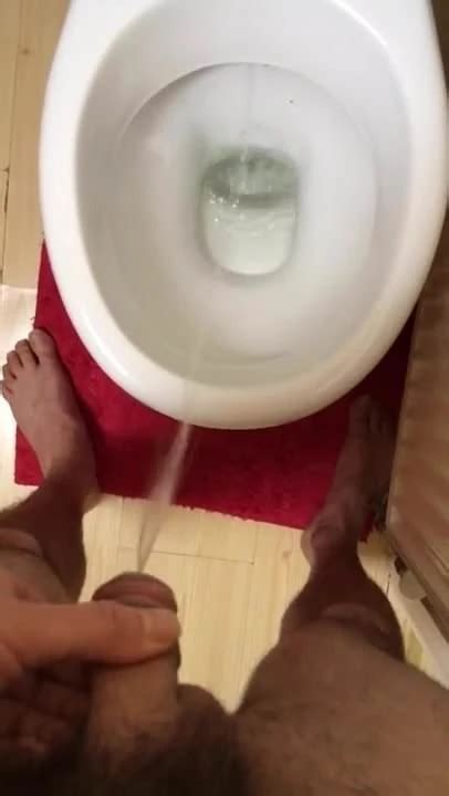 Pissing In The Loo Gay Man Porn Xhamster