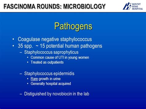 Antibiotic For Coagulase Negative Staphylococcus