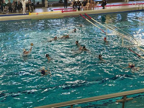 Waterpolo Dames Zv De Zaan Naar Beste Vier In Euro Cup De Orkaan