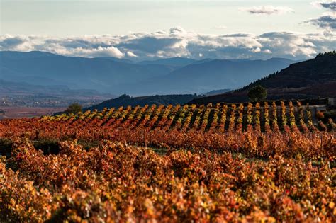 La Doca Rioja Aprueba Su Presupuesto Para Millones De Euros