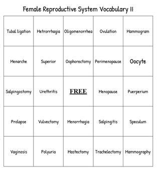 Female Reproductive System Ii Bingo Set For A Medical Terminology Course