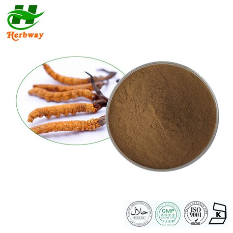 Herbway Kosher Halal Fssc Haccp Certified Botanical Extract Cordyceps