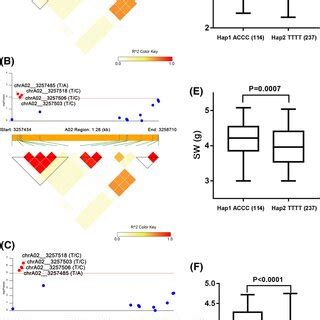 Candidate Gene Association Analysis Of BnaC06g28920D With SW A Trial