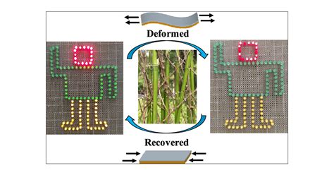 Intrinsically Stretchable and Shape Memory Conducting Nanofiber for ...