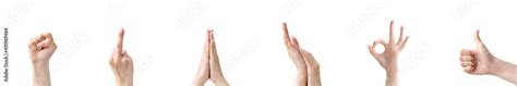 Gesture Collage Sign Collection Female Hands Showing Protest Fist Fuck You Praying Okay Like
