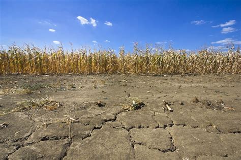 Klimawandel Europa Drohen Verschärfte Dürren Wissenschaftde