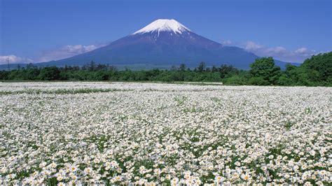 富士山、日本の壁紙 2 15 1366x768 壁紙ダウンロード 富士山、日本の壁紙 2 風景 壁紙 V3の壁紙