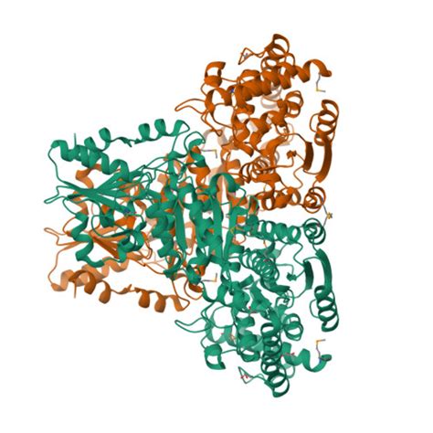 RCSB PDB 3L84 High Resolution Crystal Structure Of Transketolase