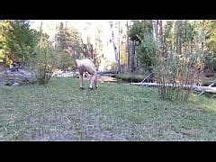 Naked Walk Along The Creek Xxx Mobile Porno Videos Movies