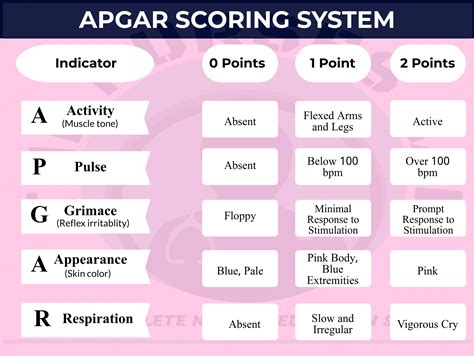apgar bewertung neugeborene apgar werte bedeutung yeip