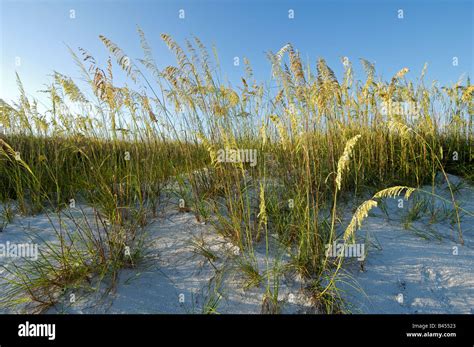 Fort Desoto State Park St Petersburg Florida Stock Photo Alamy