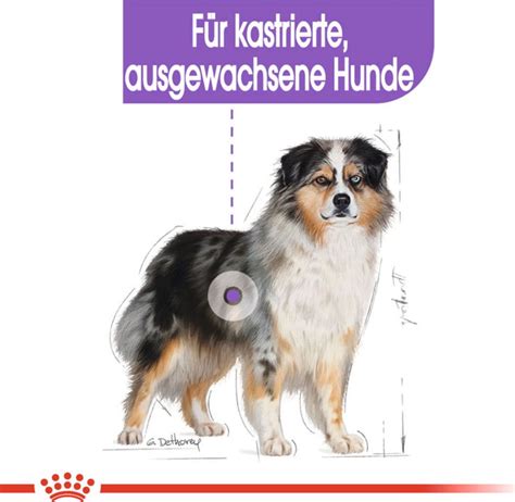 Royal Canin Sterilised Medium - Zoolini