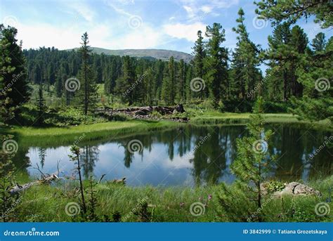 Lake in taiga stock image. Image of outdoor, hills, mirror - 3842999