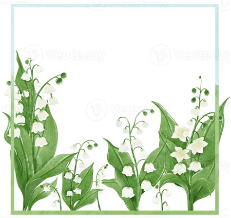 Lilies Of The Valley Frame Wreath Hand Drawn Watercolor Illustration Of