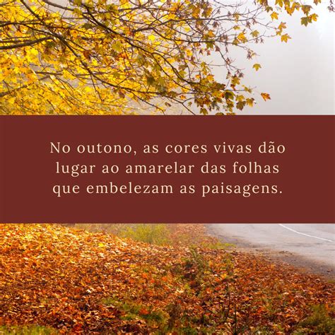 Texto Sobre O Outono - 40 mensagens sobre outono para qualquer um se encantar