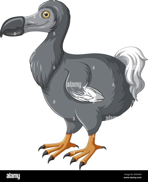 Dodo Bird Extinct Animal Illustration Stock Vector Image And Art Alamy