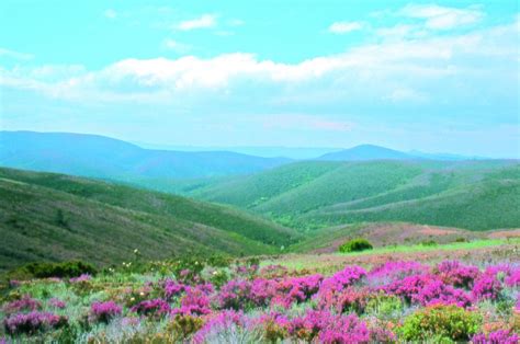 Reserva Natural Da Serra Da Malcata