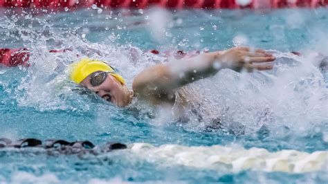 Ashwaubenon Jaguars Finish Third At Wiaa Division 2 State Swim Meet