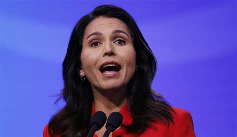 Tulsi Gabbard Slams Politicians And Propaganda Media For